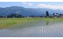 【令和6年産】富山県産こしひかり　育（はぐくみ）贈答用　300ｇ（２合）３個入り《南砺の逸品》