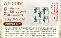 【令和7年産】使いきりパック&nbsp;&nbsp;富山県産こしひかり&nbsp;　育（はぐくみ）&nbsp;&nbsp;白米300ｇ（2合）5個セット《南砺の逸品》