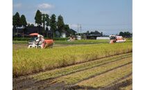 定期便・12回  富山県産こしひかり 　育（はぐくみ）  白米５kg×２袋《南砺の逸品》