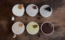 【SHUKA/種菓】種のジェラート18個入(6種)［ 京都 種を愉しむ スイーツ 人気 おすすめ お菓子 菓子 定番 お取り寄せ 通販 送料無料 ふるさと納税 ］