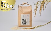 【京都岩倉坂原米作りプロジェクト】〈新米〉京都岩倉さかばら産 きぬひかり(5kg)［ 京都 グルメ おいしい 人気 おすすめ 米 コメ ギフト プレゼント 贈答 お取り寄せ 通販 送料無料 ふるさと納税 ］