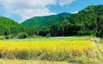 【京都岩倉坂原米作りプロジェクト】〈新米〉京都岩倉さかばら産&nbsp;きぬひかり(5kg)［&nbsp;京都&nbsp;グルメ&nbsp;おいしい&nbsp;人気&nbsp;おすすめ&nbsp;米&nbsp;コメ&nbsp;ギフト&nbsp;プレゼント&nbsp;贈答&nbsp;お取り寄せ&nbsp;通販&nbsp;送料無料&nbsp;ふるさと納税&nbsp;］