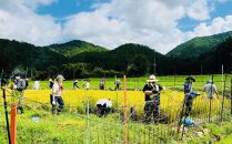 【京都岩倉坂原米作りプロジェクト】〈新米〉京都岩倉さかばら産&nbsp;きぬひかり(5kg)［&nbsp;京都&nbsp;グルメ&nbsp;おいしい&nbsp;人気&nbsp;おすすめ&nbsp;米&nbsp;コメ&nbsp;ギフト&nbsp;プレゼント&nbsp;贈答&nbsp;お取り寄せ&nbsp;通販&nbsp;送料無料&nbsp;ふるさと納税&nbsp;］