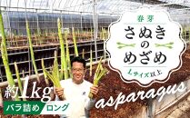 【2月中旬頃～発送】さぬきのめざめロング 春芽 1kg バラ詰め