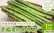 【2月中旬頃～発送】さぬき市産 アスパラガス さぬきのめざめ 春芽 1kg