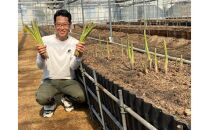 【3月中旬頃～発送】さぬき市産&nbsp;アスパラガス&nbsp;さぬきのめざめ&nbsp;春芽&nbsp;1kg