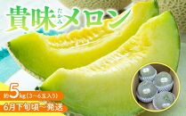 【6月下旬頃～発送】貴味(たかみ)メロン 約5kg