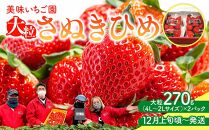 【12月上旬頃～発送】いちご園「さぬきひめ」大粒 270g×2パック(4L～2Lサイズ)