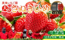 【12月上旬頃～発送】いちご園「さぬきひめ」化粧箱入り 400g