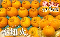 【2月下旬頃～発送】不知火 (しらぬひ) 約5kg