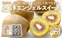 さぬきエンジェルスイートキウイ約1kg&nbsp;化粧箱入り&nbsp;【11月上旬頃～発送】