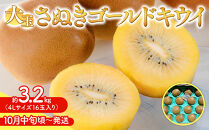 さぬきゴールド&nbsp;キウイ&nbsp;大玉&nbsp;約&nbsp;3.2kg&nbsp;キウイフルーツ&nbsp;【10月中旬頃～発送】