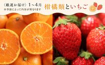 【2ヶ月連続定期便】 創業130余年！老舗果物店の厳選フルーツ詰合せ♪満足セット（3～5品種）