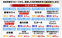 【12回毎月お届け】高松市自慢のフルーツ定期便【L】