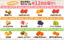 【12回毎月お届け】高松市自慢のフルーツ定期便【L】|&nbsp;キウイ&nbsp;香緑キウイ&nbsp;キウイフルーツ&nbsp;いちご&nbsp;イチゴ&nbsp;苺&nbsp;さぬきひめ&nbsp;さぬきひめいちご&nbsp;はるみ&nbsp;びわ&nbsp;ビワ&nbsp;枇杷&nbsp;びわ&nbsp;なつたより&nbsp;桃&nbsp;もも&nbsp;モモ&nbsp;ピオーネ&nbsp;ぶどう&nbsp;ブドウ&nbsp;マスカット&nbsp;シャインマスカット&nbsp;柿&nbsp;太秋柿&nbsp;ゴールドキウイ&nbsp;小原紅早生みかん&nbsp;早生みかん&nbsp;さぬきゴールドキウイ&nbsp;みかん&nbsp;ミカン&nbsp;温州みかん&nbsp;温州ミカン&nbsp;柑橘&nbsp;&nbsp;オレンジ&nbsp;果物&nbsp;くだもの&nbsp;フルーツ&nbsp;ギフト