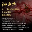 ＜定期便12回＞【和牛セレブ】牛一頭分（12分割配送）