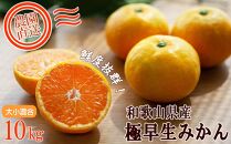 極早生みかん&nbsp;約10kg&nbsp;大小混合&nbsp;ちょっと訳あり《ご家庭用》和歌山県より農園直送！まごころ産直みかん【北海道・沖縄県・一部離島&nbsp;配送不可】混合サイズ&nbsp;ミカン&nbsp;蜜柑&nbsp;温州みかん&nbsp;わけあり&nbsp;訳アリ［Mg13】