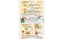 ［梅干・梅酒用］大玉4Lサイズ約2kg&nbsp;熟南高&nbsp;生梅&nbsp;赤秀品＜2026年6月上旬～7月7日発送予定＞［ART01］