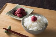 ［梅干・梅酒用］大玉4Lサイズ約2kg&nbsp;熟南高&nbsp;生梅&nbsp;赤秀品＜2026年6月上旬～7月7日発送予定＞［ART01］