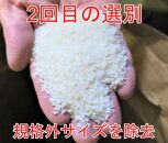 【定期便×7回】5kg 大手有名百貨店出荷米 あきたこまち 令和6年産米