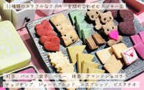 【人気のクッキー缶】11種類のカラフルなクッキーを詰め合わせたクッキー缶