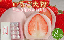 【全4回定期便/土日お届け】フルーツ大福(いちご&nbsp;ブルーベリー&nbsp;マスカット&nbsp;栗)【大福&nbsp;フルーツさぬき&nbsp;風月堂】