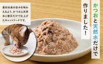 ペットフード無一物(R)パウチ寒天ゼリータイプかつお【はごろもフーズ】