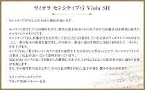 ヴィオラ センシティブ弓 Viola SII