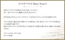 コントラバス弓 Bass Stan-1