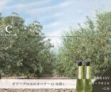 オリーブの木のオーナー｜静岡産EXVオリーブオイル（ノヴェッロ）100ml×2本