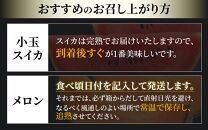 【先行予約】【秀品】佐藤農園の小玉スイカとレノンメロンのセット 計2玉 / 農家直送 有機肥料 低農薬 すいか フルーツ 果物 くだもの 野菜 赤い食べ物 甘い 贈答 旬 夏 福井県あわら市産 ※2025年6月中旬より発送順次発送