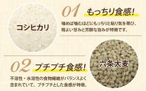 【先行予約】【令和6年産福井県産ブレンド米】【一等米】そのまま炊けるこだわり雑穀ごはん 【無洗米】900g / 小分け 雑穀米 ブレンド 赤米 黒米 麦 緑米 ぷちぷち 食感 歯ごたえ 白米 穀物 こしひかり コシヒカリ 福井県 新米 ※2024年10月上旬より順次発送