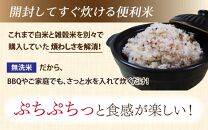 【先行予約】【令和6年産福井県産ブレンド米】【一等米】そのまま炊けるこだわり雑穀ごはん 【無洗米】2kg / 雑穀米 ブレンド 赤米 黒米 麦 緑米 ぷちぷち 食感 歯ごたえ 白米 穀物 こしひかり コシヒカリ 福井県 新米 ※2024年10月上旬より順次発送