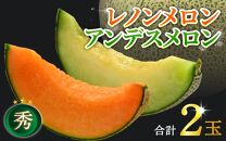 【先行予約】佐藤農園の赤肉と青肉食べ比べ計2玉（レノンメロン・アンデスメロン）農家直送 秀品 お届け！ / フルーツ くだもの 特産 旬 夏 果物 完熟  メロン 朝どれ 美味しい お取り寄せ 贈答 ※2025年6月中旬より順次発送