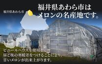 【先行予約】佐藤農園の赤肉と青肉食べ比べ計2玉（レノンメロン・アンデスメロン）農家直送 秀品 お届け！ / フルーツ くだもの 特産 旬 夏 果物 完熟  メロン 朝どれ 美味しい お取り寄せ 贈答 ※2025年6月中旬より順次発送