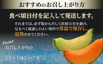 【先行予約】佐藤農園の赤肉と青肉食べ比べ計2玉（レノンメロン・アンデスメロン）農家直送 秀品 お届け！ / フルーツ くだもの 特産 旬 夏 果物 完熟  メロン 朝どれ 美味しい お取り寄せ 贈答 ※2025年6月中旬より順次発送