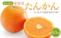 【2025年発送】屋久島産 家庭用 たんかん 4.5kg バラ（S～2Lサイズ混合・多少キズあり）