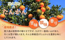 【2025年発送】屋久島産 家庭用 たんかん 4.5kg バラ（S～2Lサイズ混合・多少キズあり）