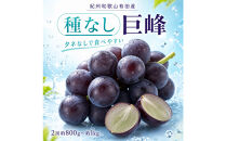 紀州有田産の種なし巨峰ぶどう２房（約800g〜1kg）【2026年発送&nbsp;先行予約】