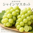 紀州有田産シャインマスカット２房（約1kg〜1.4kg）【先行予約】【2026年8月下旬以降発送予定】