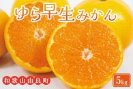 農家直送 ゆら早生みかん 約5kg 2S～2Lサイズ混合