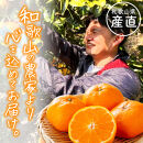 ［家庭用 訳あり］わかやま旬のカンキツ定期便[M] 全４回 3・5・9・11月発送［MS96］