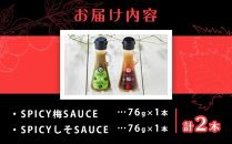 SPICY梅SAUCE＆SPICYしそSAUCE2本セット(各1本)&nbsp;【梅干し屋が作った新感覚調味料】