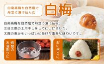 紀州南高梅 口熊野 ご家庭用 1kg 白梅 塩分約22％