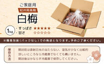 紀州南高梅&nbsp;口熊野&nbsp;ご家庭用&nbsp;1kg&nbsp;白梅&nbsp;塩分約22％