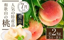 定期便全3回 【7月・8月・9月発送】 和歌山の夏のフルーツをお届け（桃・梨・たねなしピオーネ）【TM179】