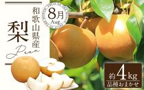 定期便全3回 【7月・8月・9月発送】 和歌山の夏のフルーツをお届け（桃・梨・たねなしピオーネ）【TM179】