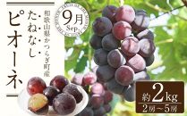 定期便全3回 【7月・8月・9月発送】 和歌山の夏のフルーツをお届け（桃・梨・たねなしピオーネ）【TM179】