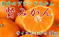 定期便全3回【8月・10月・12月発送】和歌山有田産の季節のフルーツ定期便（梨・ゆら早生みかん・賢みかん）