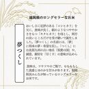 【無洗米】夢つくし&nbsp;《真空パック》5kg(1kg×5本)&nbsp;福岡県産